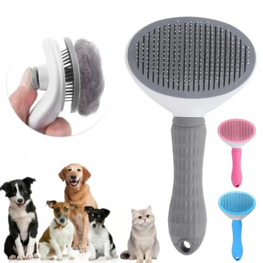 Pet Brush